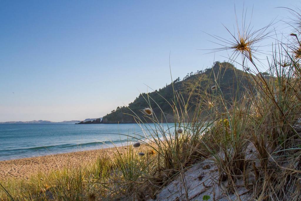 Вілла Ocean Cliff Court Kuaotunu Екстер'єр фото